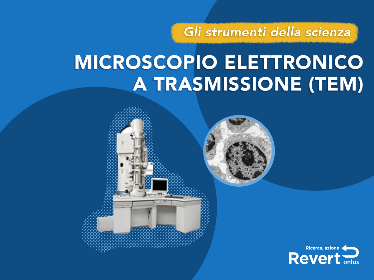Gli strumenti della scienza: Microscopio elettronico a trasmissione (TEM) -  Revert Onlus